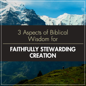 Creation Care - A Biblical Theology of the Natural World