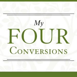 Emotionally Healthy Church – My Four Conversions
