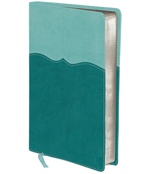 NIV, Mom's Devotional Bible, Compact