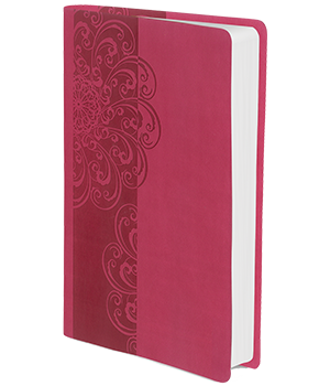 NKJV, ReadEasy Bible, Compact