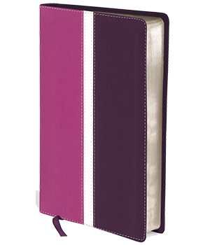 Amplified Holy Bible, Compact