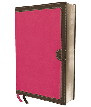 NIV, Thinline Bible, Compact, Comfort Print
