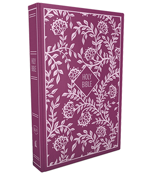 KJV, Thinline Bible, Compact, Comfort Print