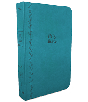 KJV, Value Thinline Bible, Compact, Comfort Print