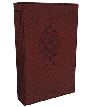 NKJV, Reference Bible, Compact Large Print, Comfort Print