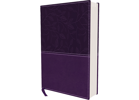 KJV, Beautiful Word Bible, Large Print