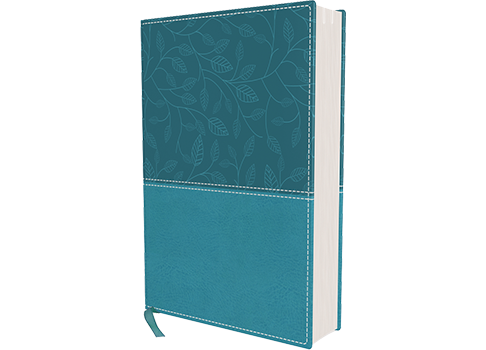 NKJV, Beautiful Word Bible, Large Print