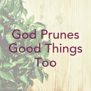 God's Power to Change Your Life