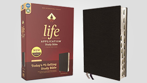 NIV, LIFE APPLICATION BIBLES
