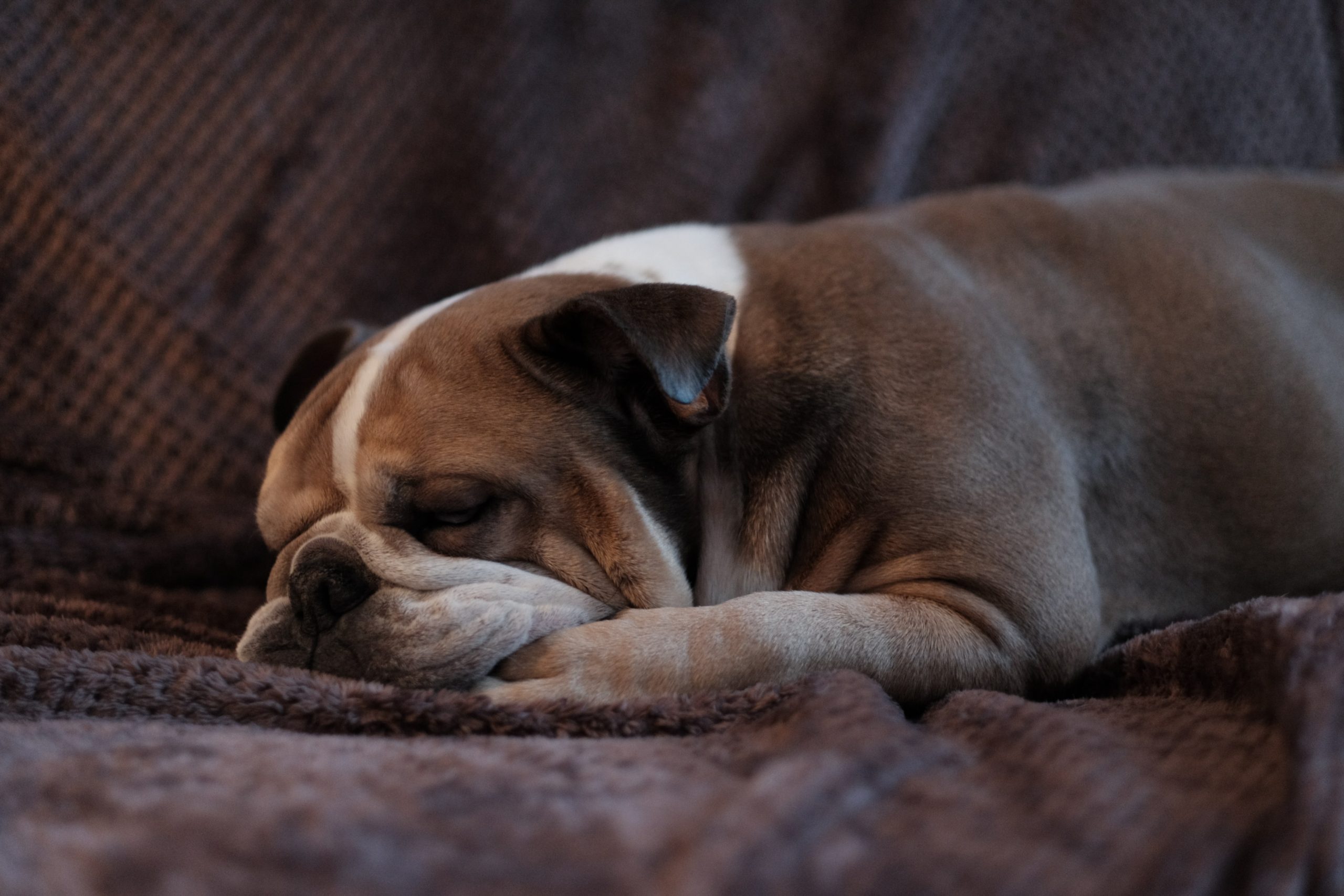 Don’t Become a Spiritual Sluggard | Jada Edwards