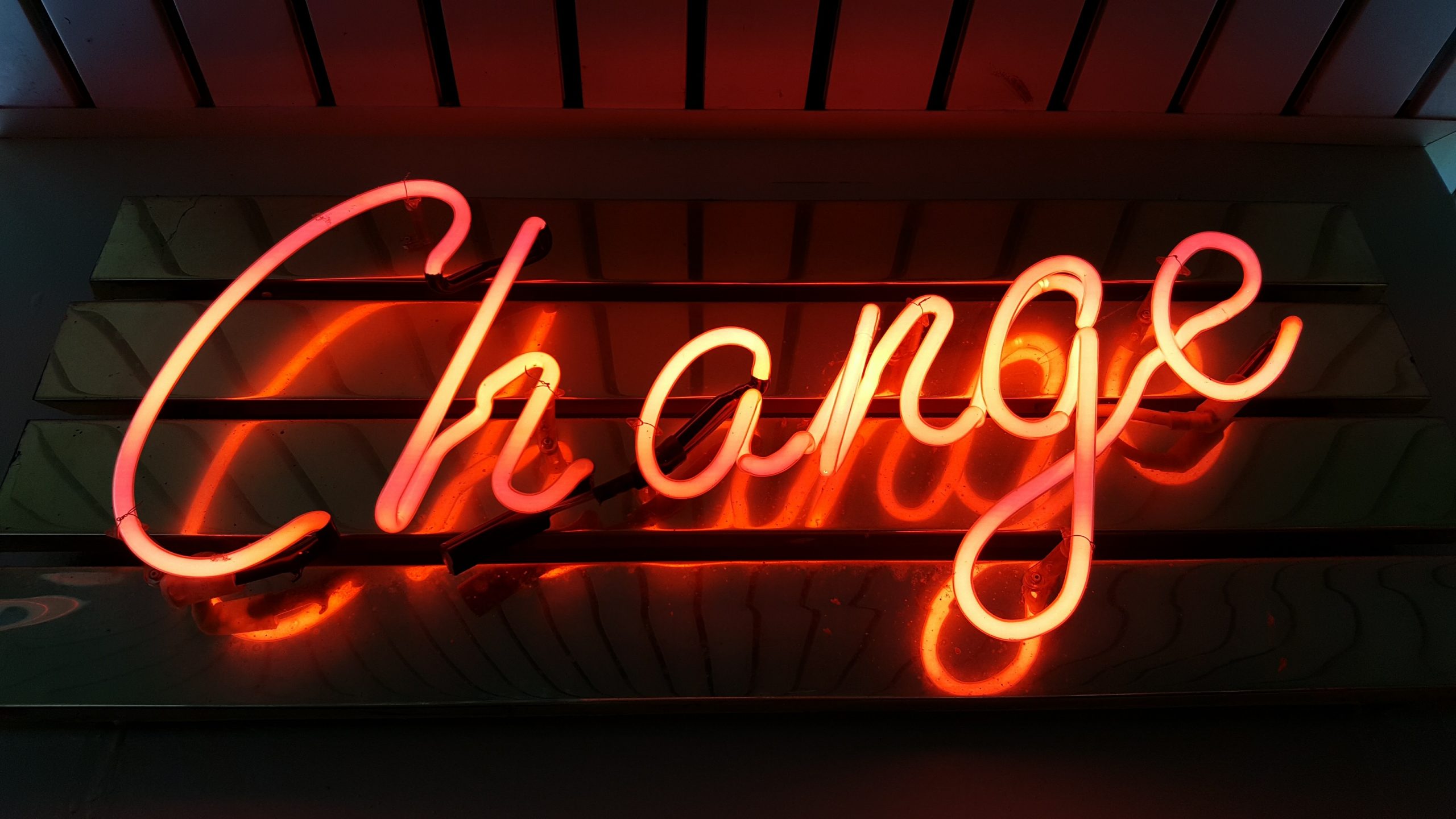 The Most Profound Change in My Life | Shauna Niequist