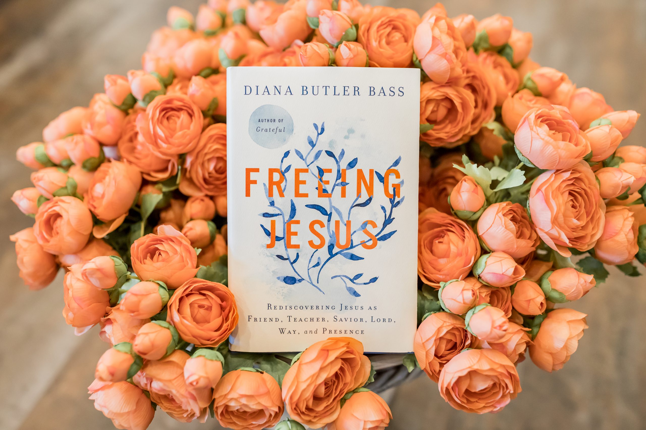 The Jesus Question: “Who Are You?” | Diana Butler Bass