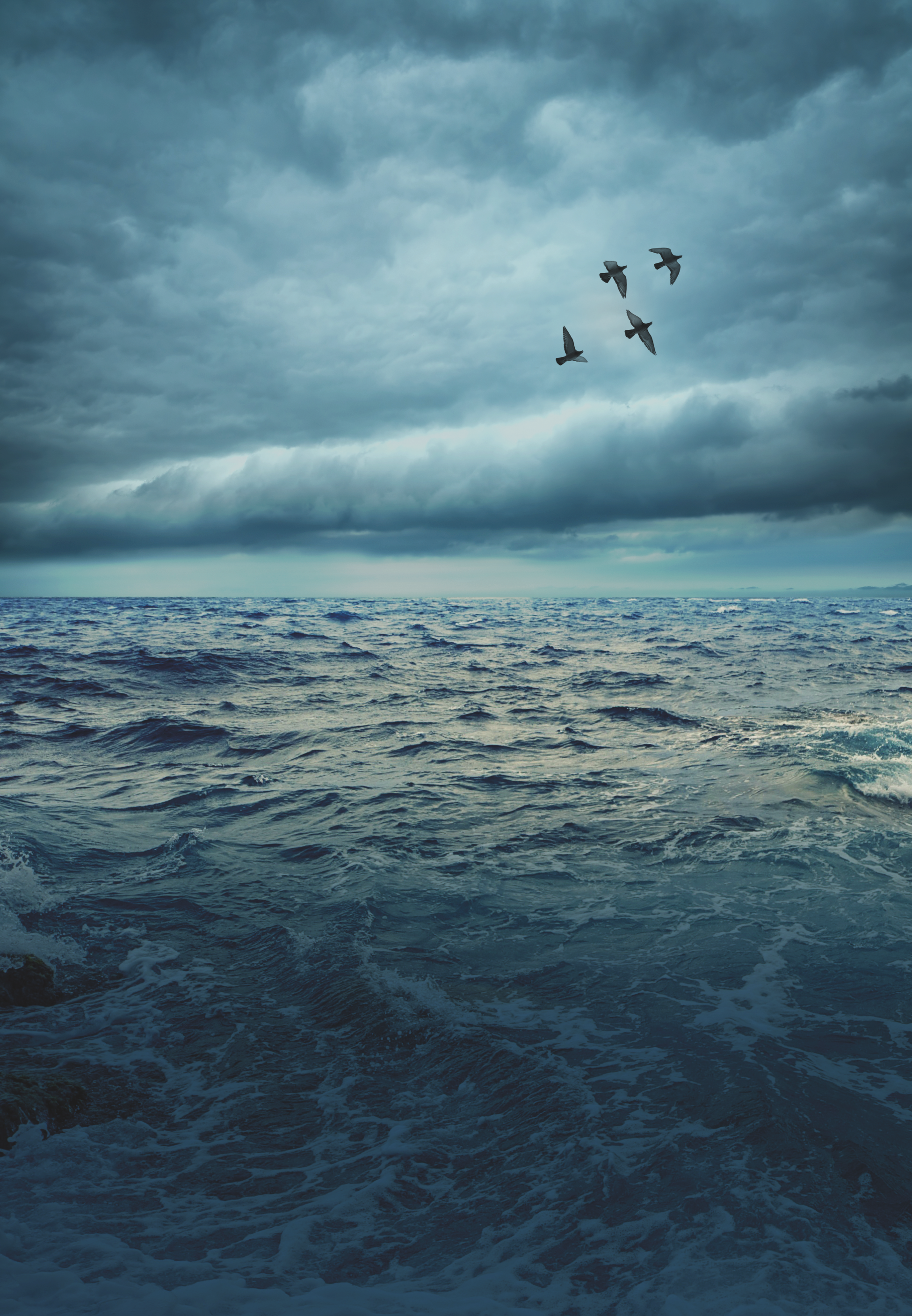 Understanding Heaven While Living on Earth | Levi Lusko