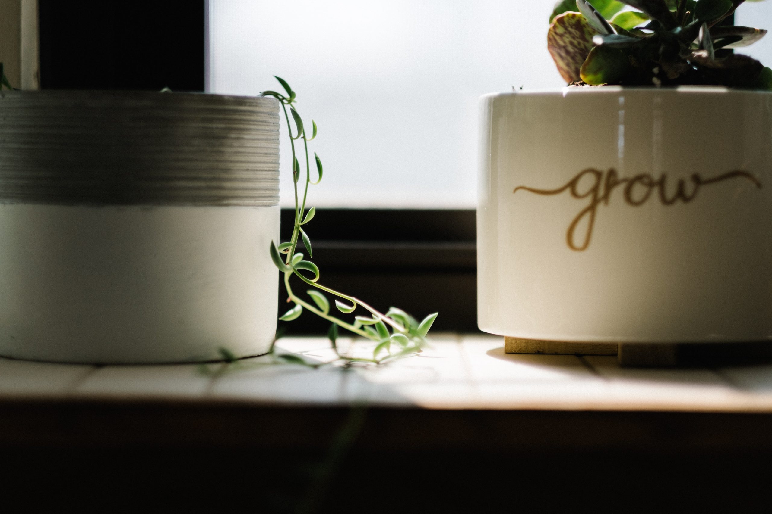 30 Days to Growing in Your Faith | Max Anders